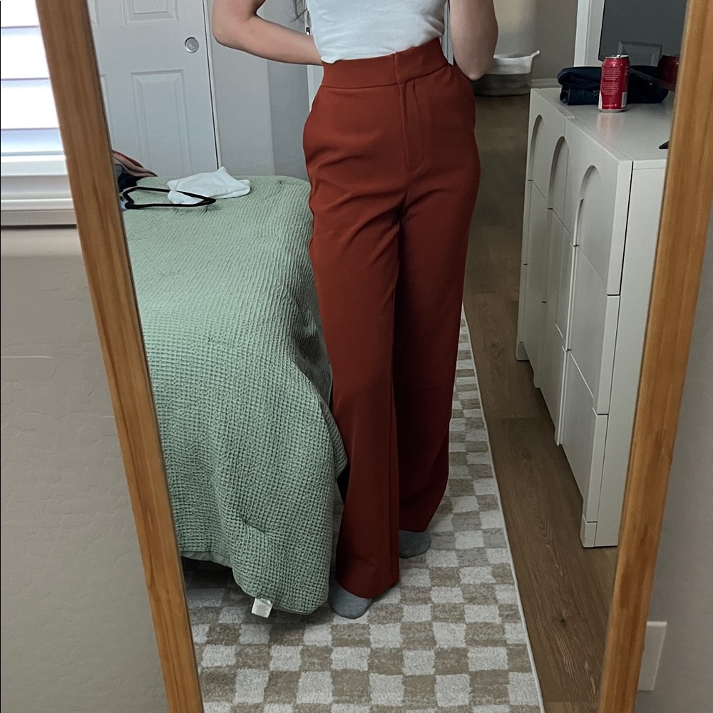 Francesca's Collections Terracotta Wide Leg Pants